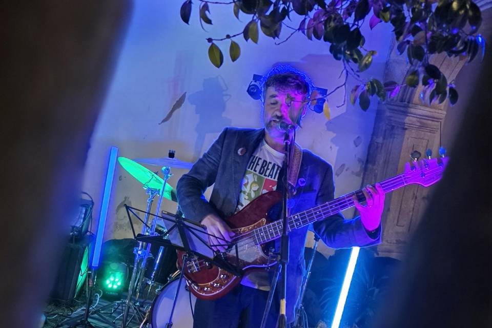 Luis guitarra