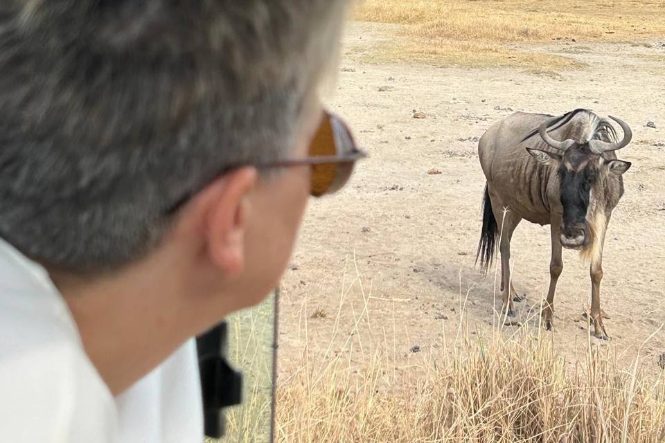 Serengeti