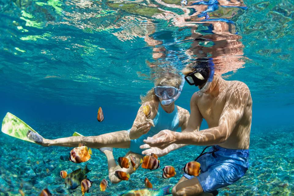 Buceo Pareja