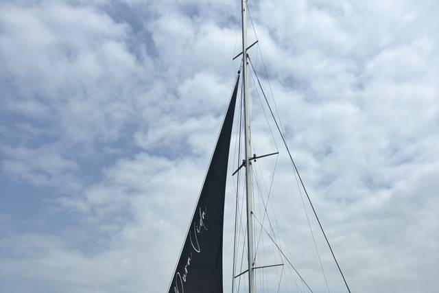 Catamarán Pura Vida