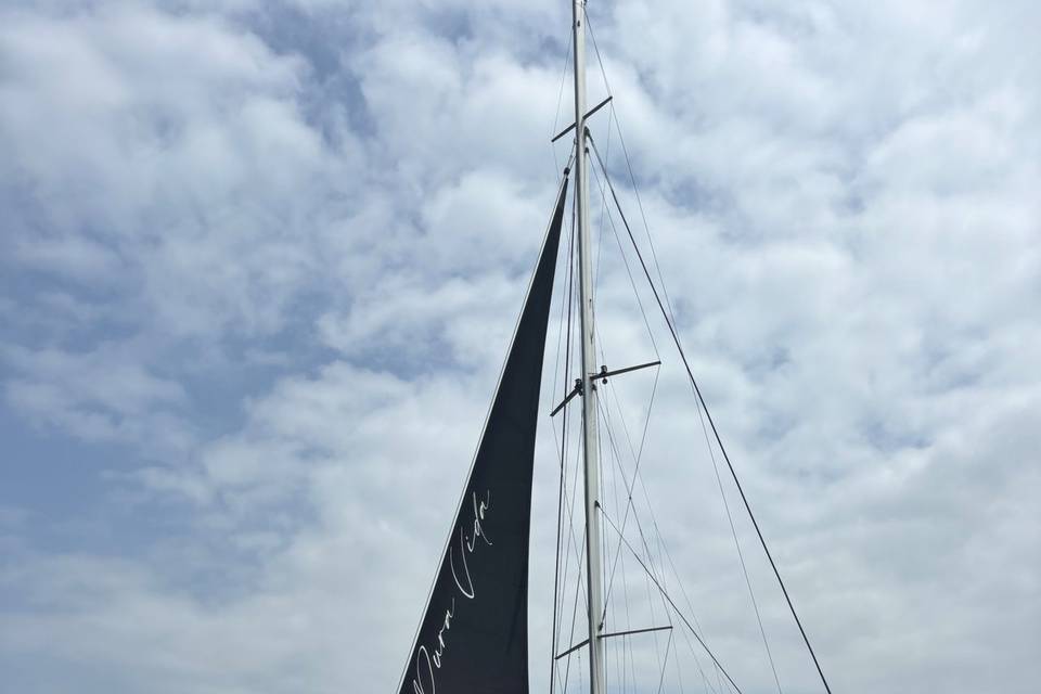 Catamarán Pura Vida