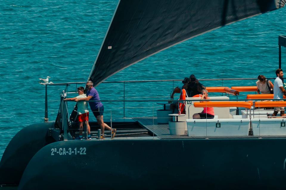 Catamarán Pura Vida