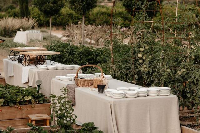Aperitivo en el huerto