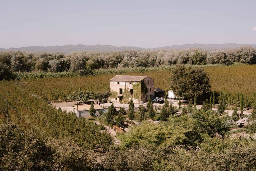 Finca enmedio de campos frutal