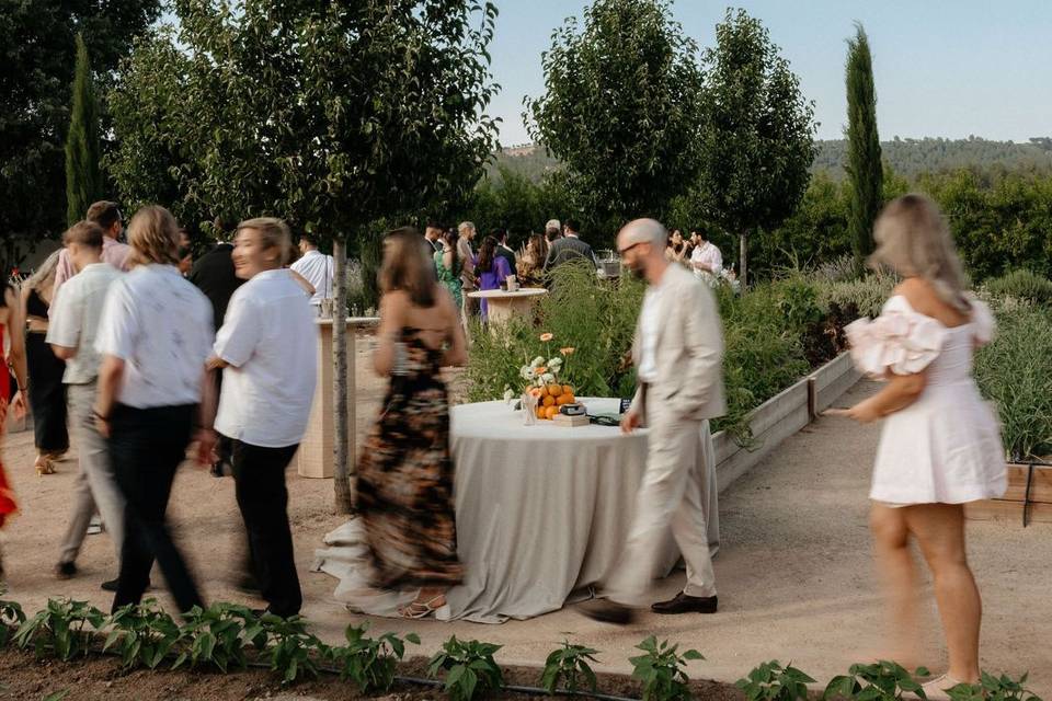 Aperitivo entre el huerto