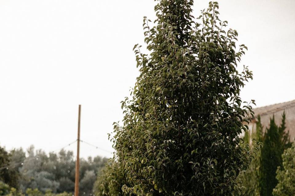 Huerto