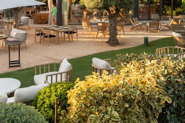 Terraza - Terrace