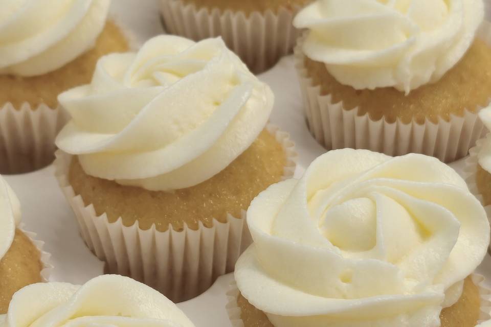 Minicupcakes vainilla