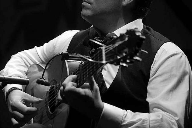 Guitarrista clásico-flamenco