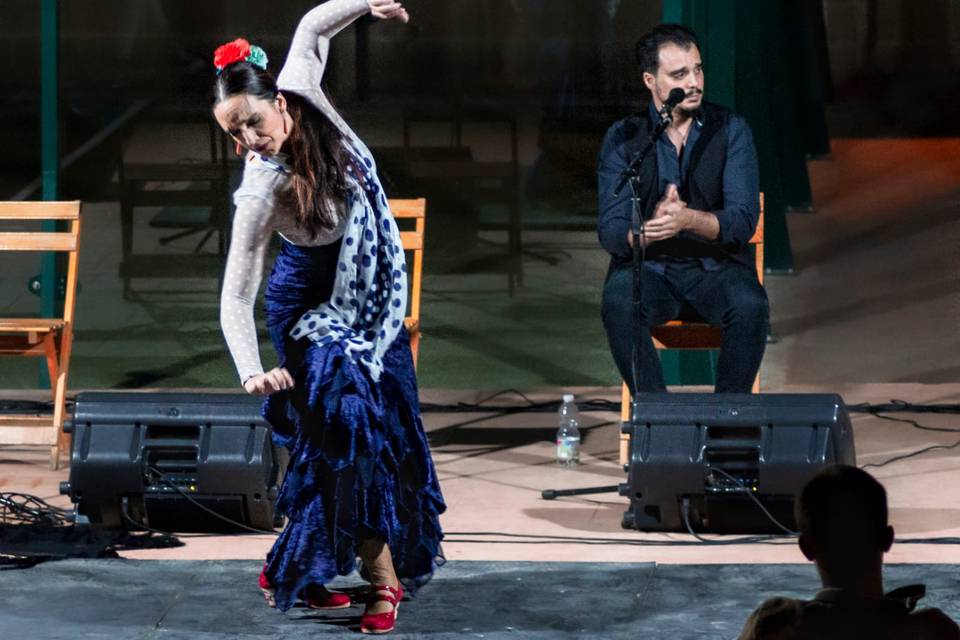 Cuadro flamenco