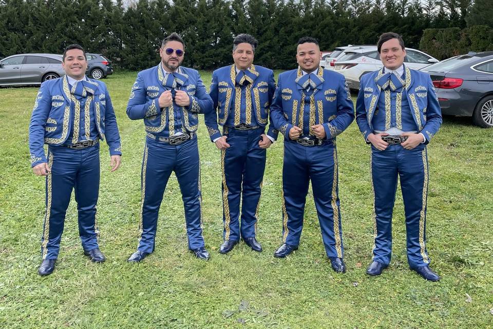 Agrupación 5 integrantes