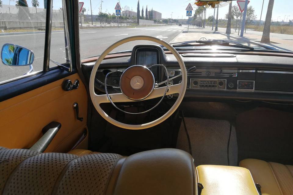Interior del vehículo