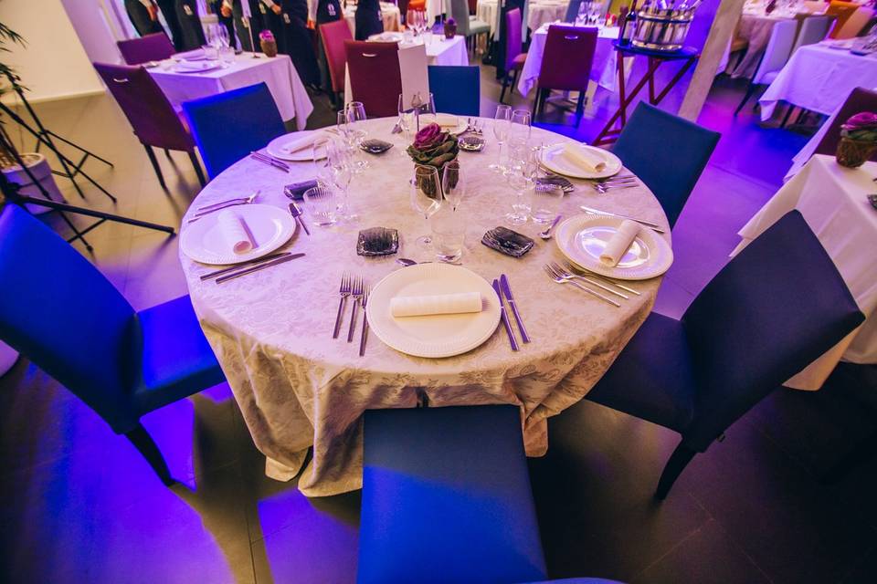 Montaje Bodas María de la O