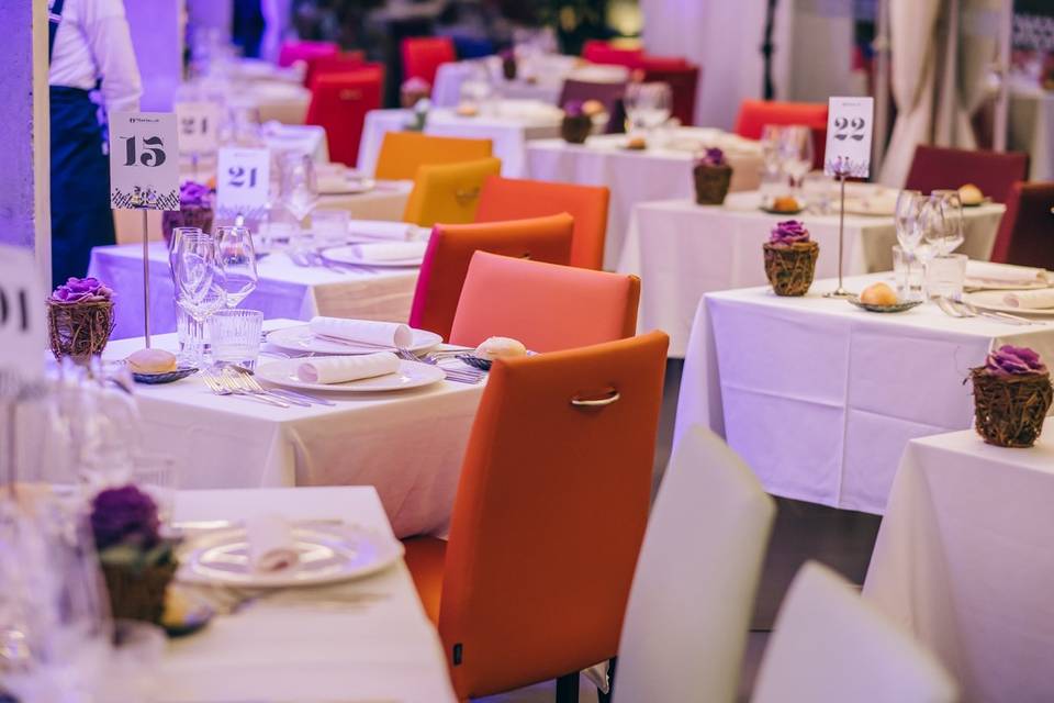 Montaje Bodas María de la O