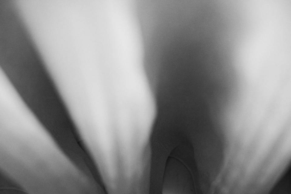 Sergio Lopez