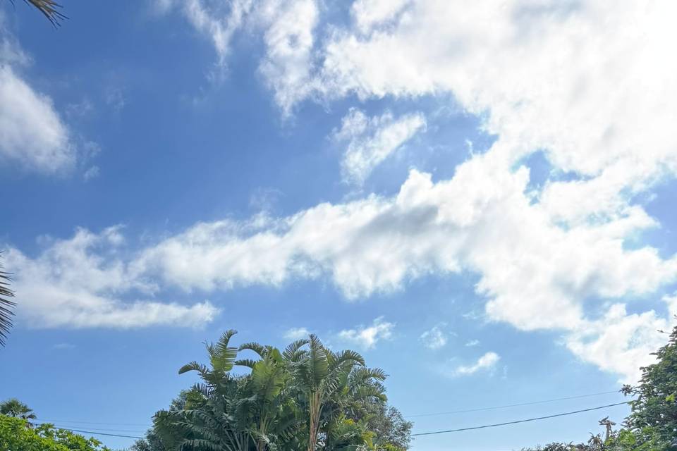 Jardines