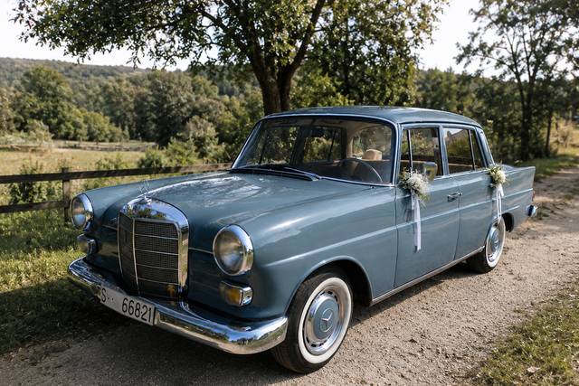 Victoriae Classic