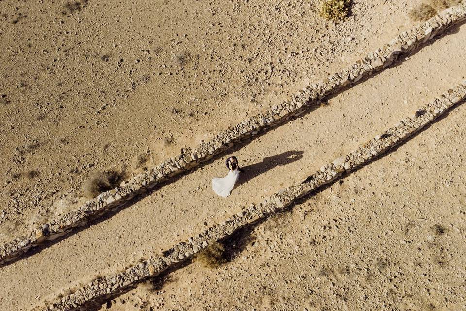 Vista drone