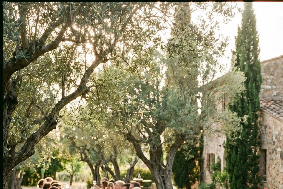Banquete al aire libre