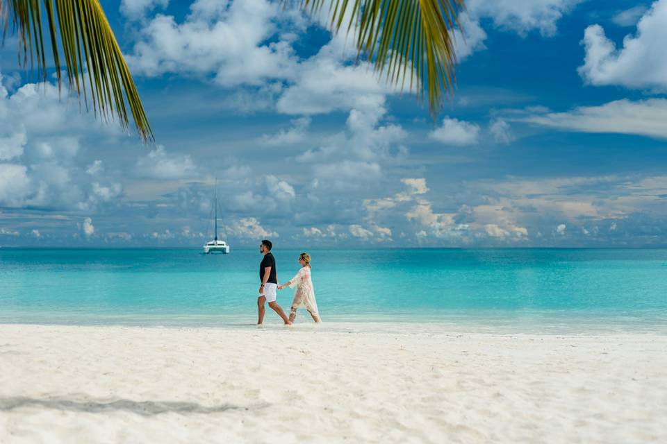 Tripfly Travel