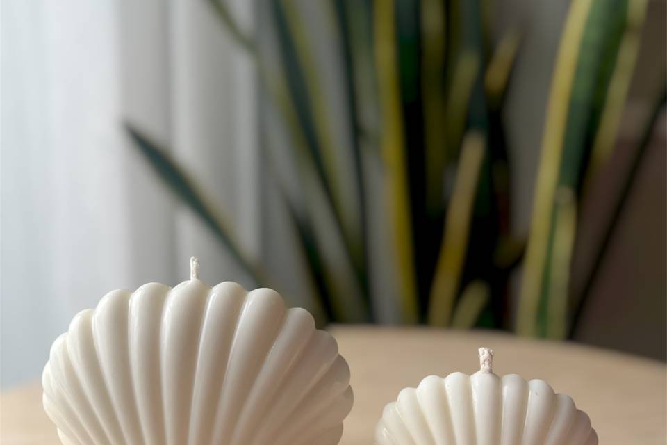 Velas conchas
