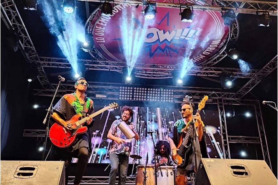 Festilval Wow!