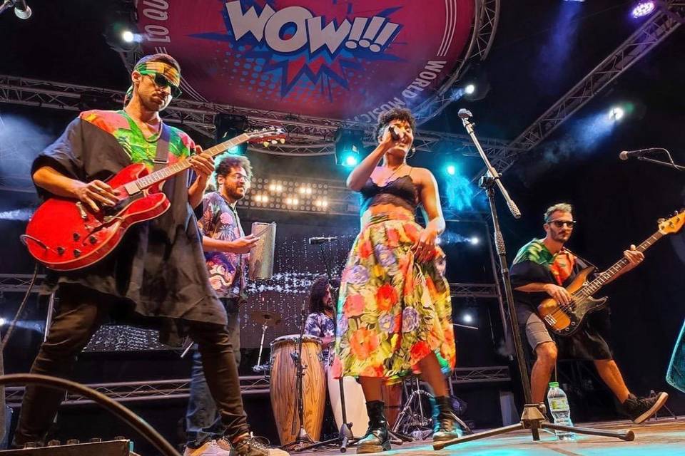 Festival Wow!