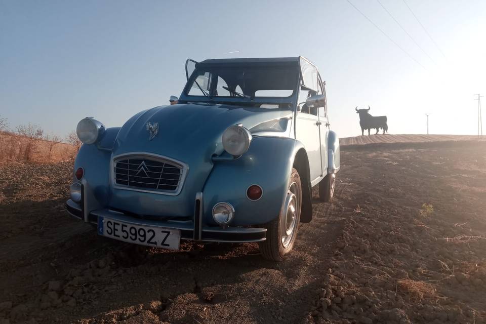 Manuel Ruiz - 2CV Azul