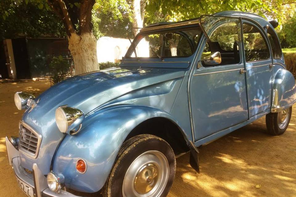 Manuel Ruiz - 2CV Azul