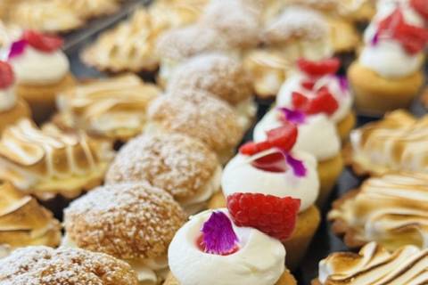 Chouquetina