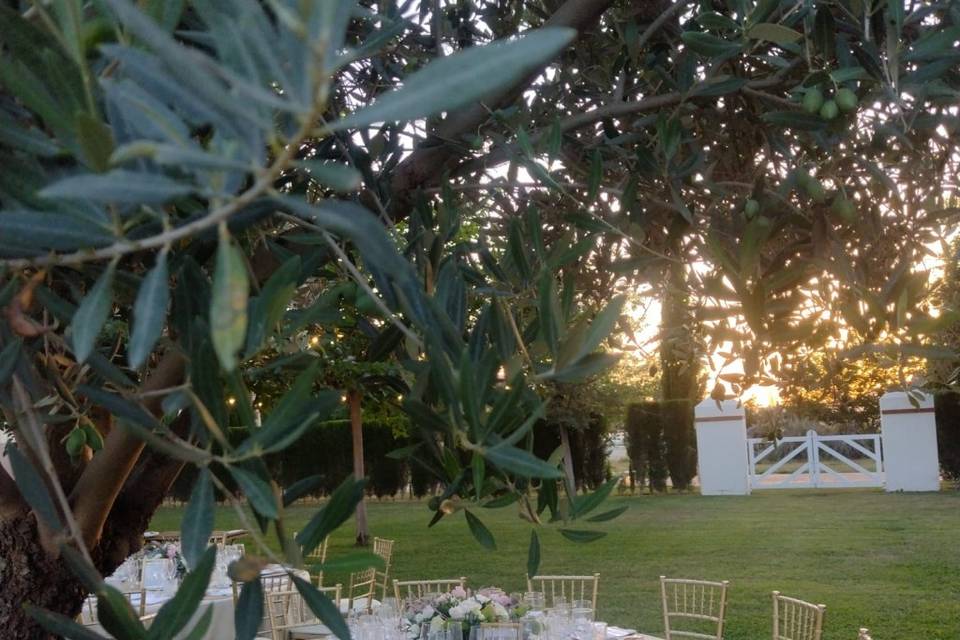 EnCursiva Eventos