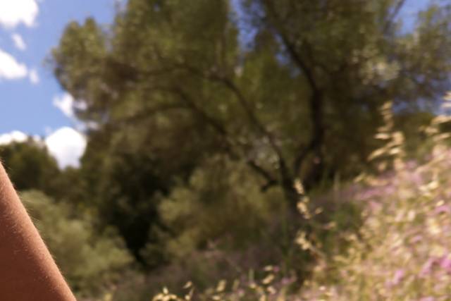 Fotografía en la naturaleza