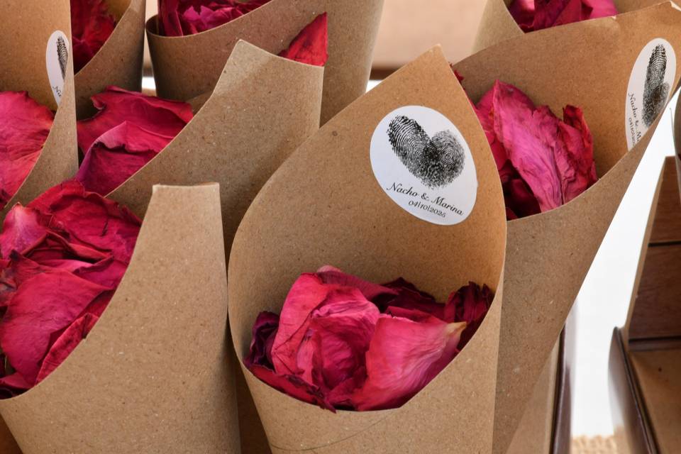 Petalos Boda Civil