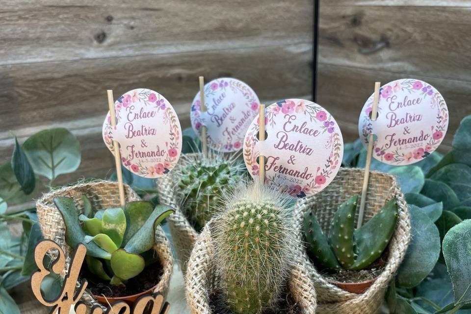 Cactus para bodas