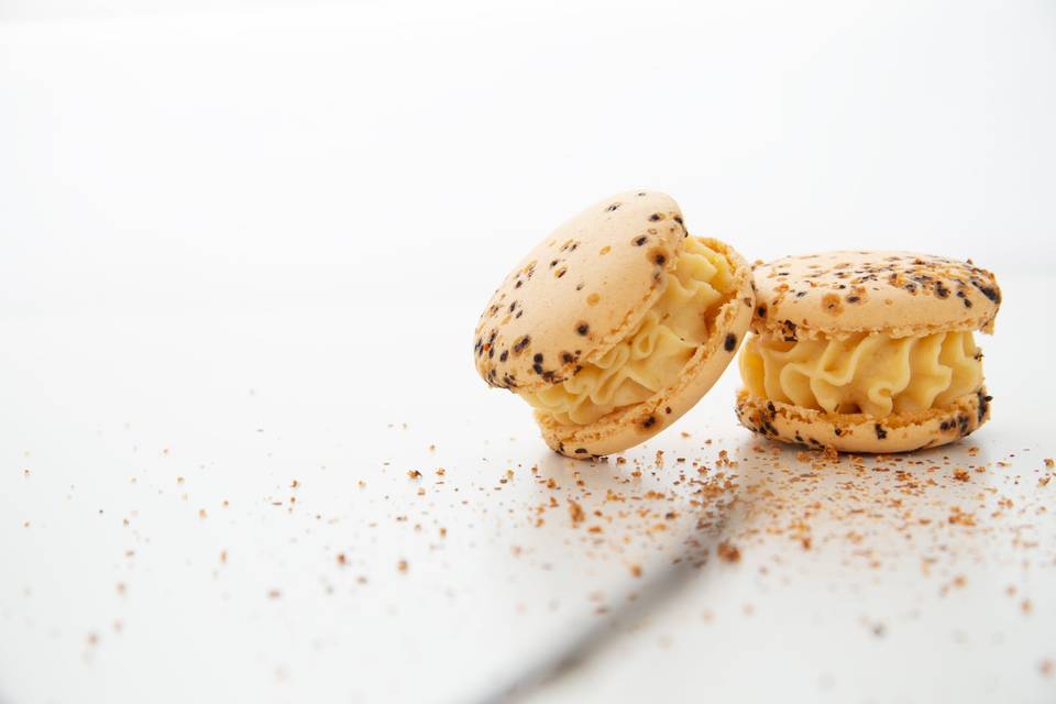 Bite Me Macaron