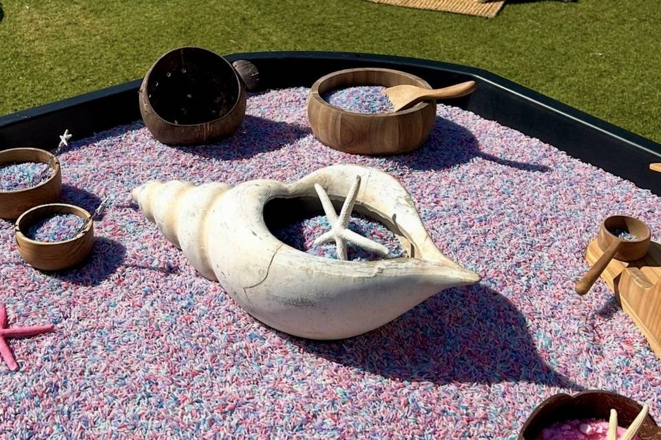 Zona sensorial