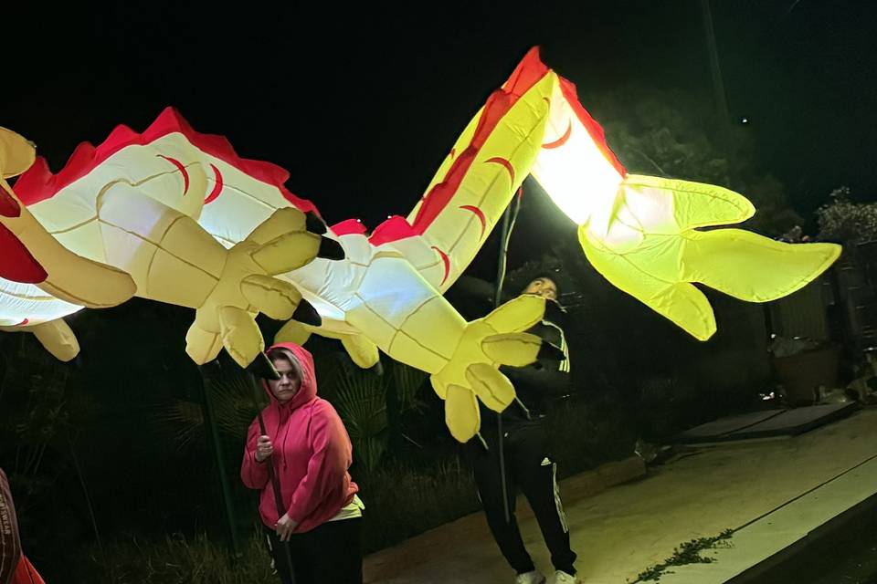 Dragon