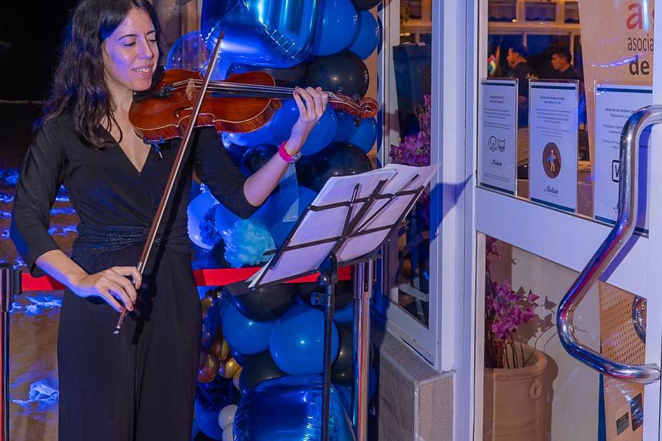 Amenización Evento Empresarial