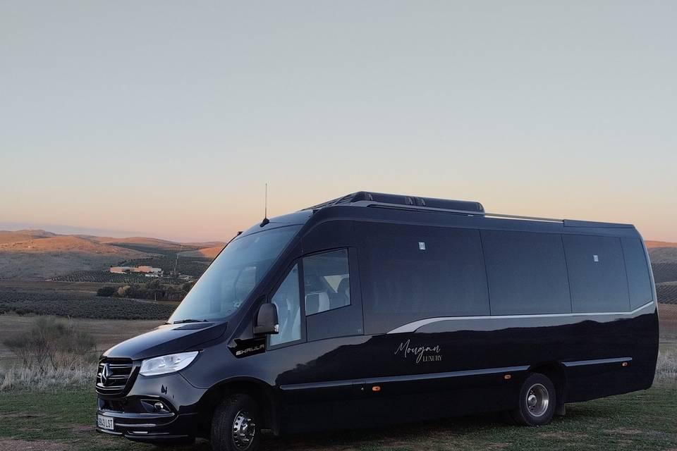 Minibus