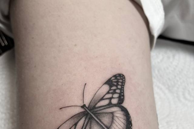 Mariposa