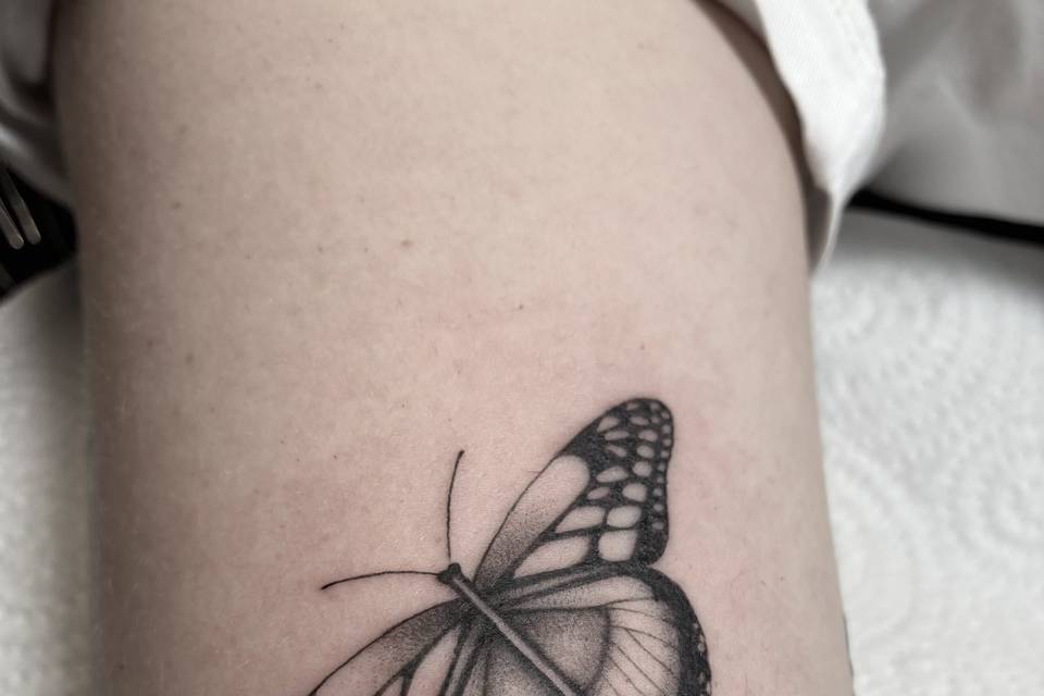 Mariposa