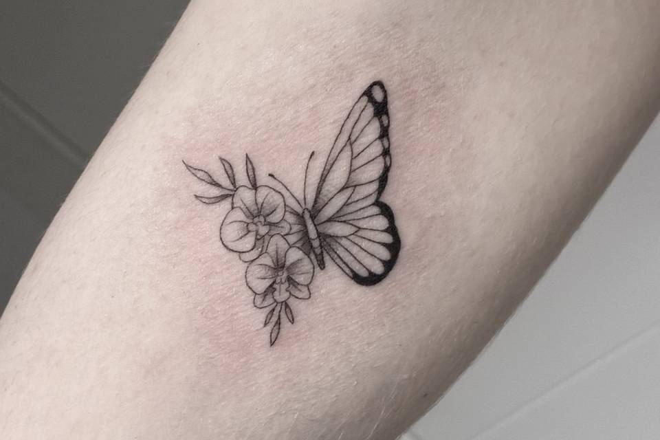 Mariposa