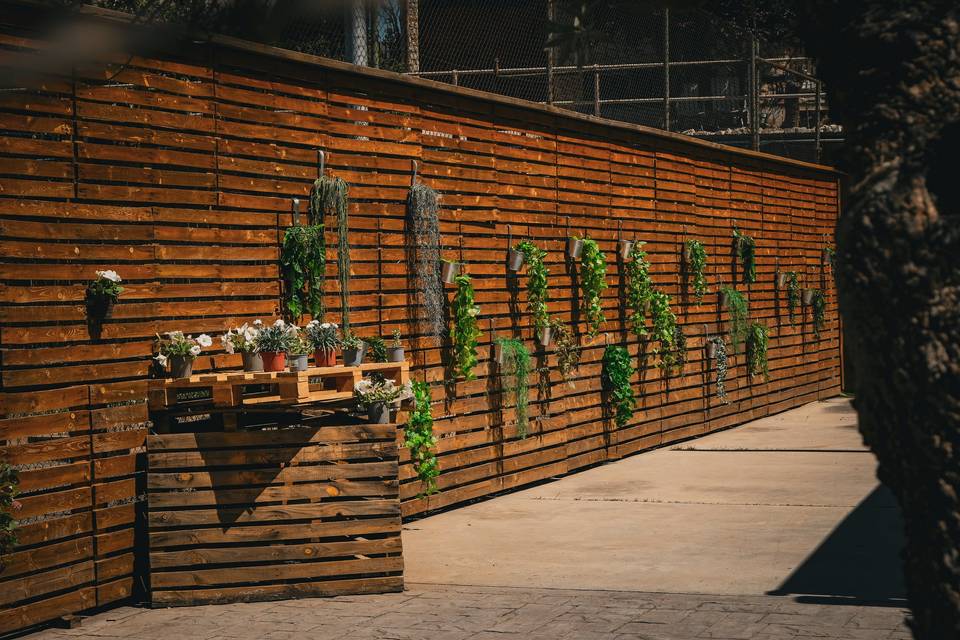 Decoración exterior