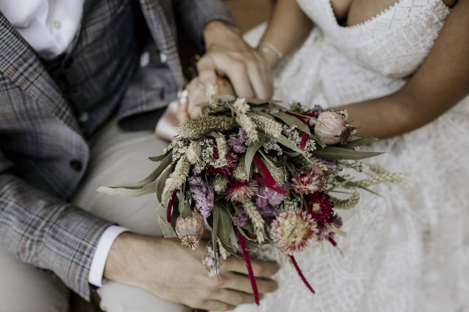 Novios