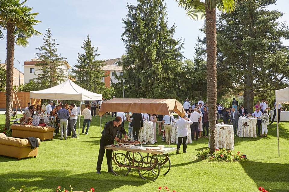 Aperitivos