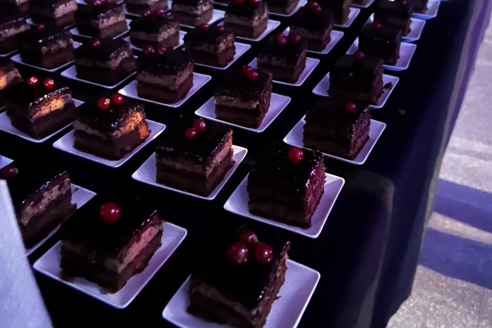 Sacher caterins