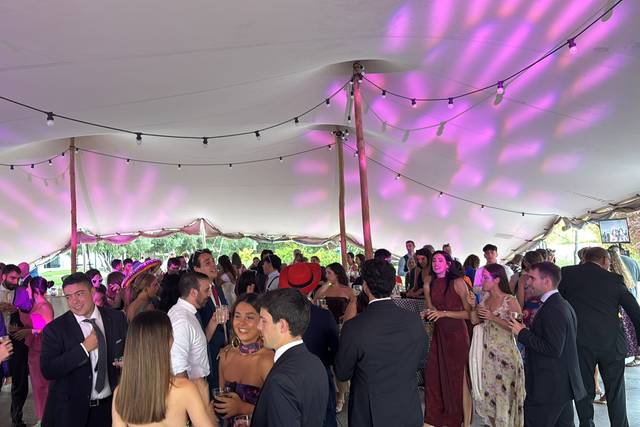 Boda