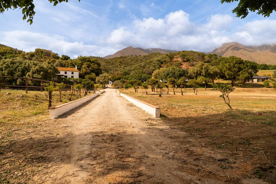 Entrada