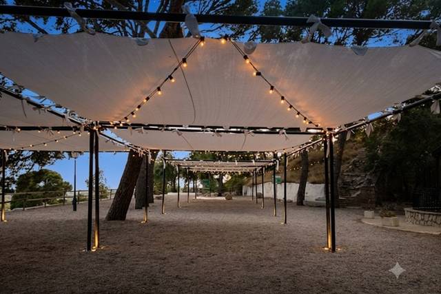 Carpas