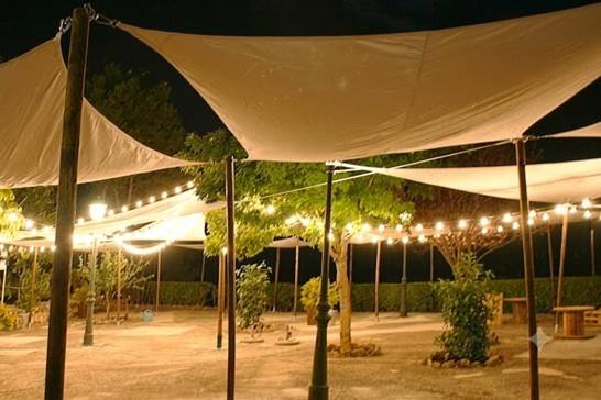 Carpa